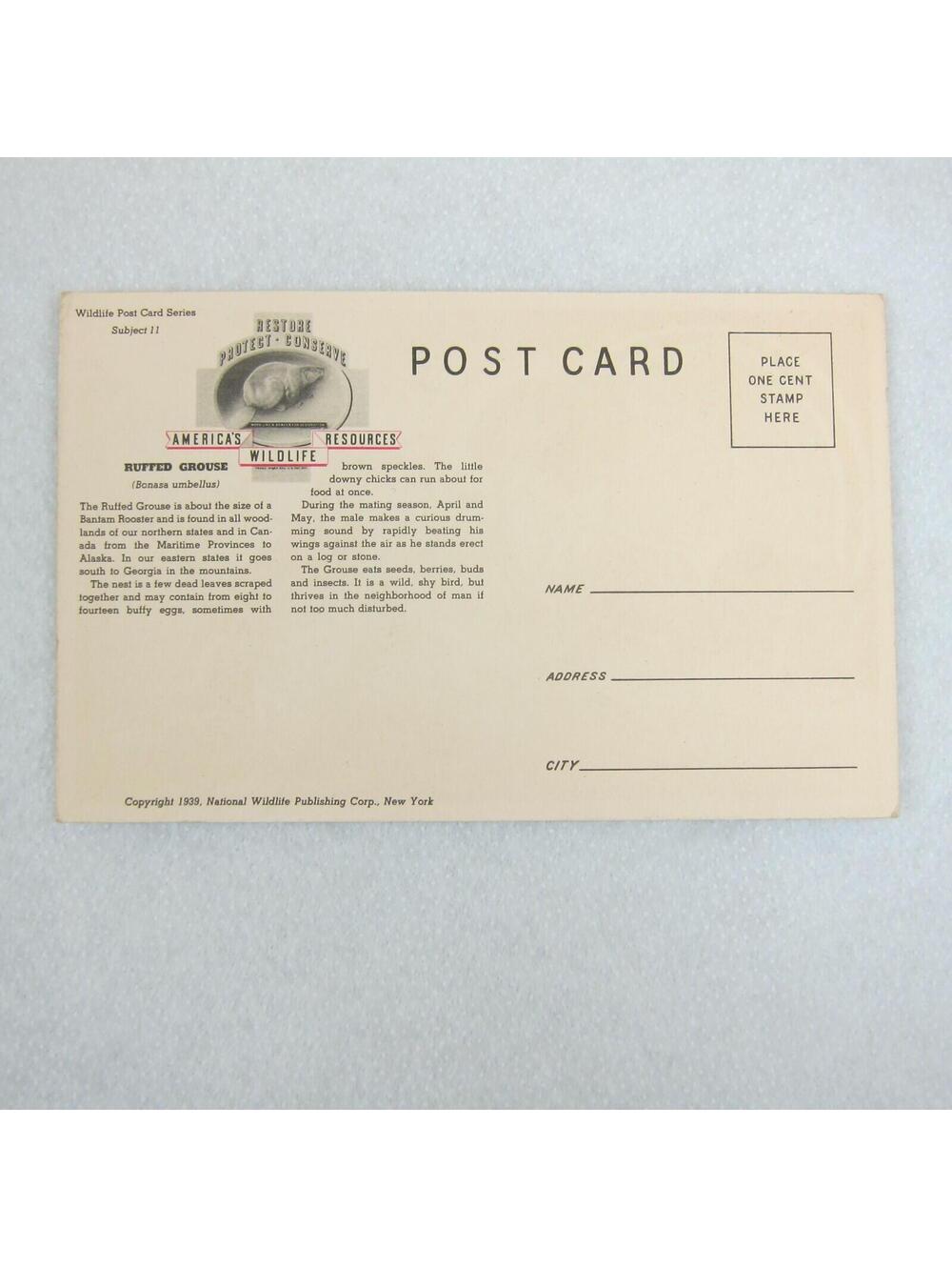 Vintage 1939 National Wildlife Bird Postcards Lot 3 Ruffed Grouse Woodcock Quail - Picture 4 of 12